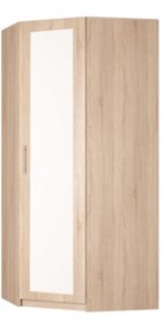 Угловой распашной шкаф Реал (YR-230х1034 (3)-М Вар.5), с зеркалом в Нижневартовске