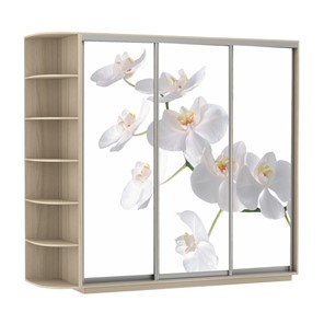 Шкаф Экспресс со стеллажом, 2100х600х2200, Орхидея белая/шимо светлый в Лангепасе