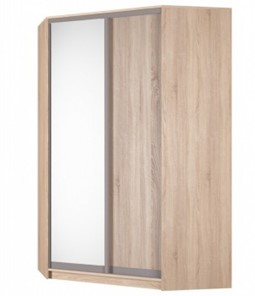 Угловой шкаф Аларти (YA-230х1400(602) (10) Вар. 4; двери D5+D6), с зеркалом в Лангепасе