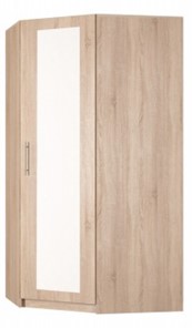 Распашной шкаф угловой Реал (YR-198х1034 (7)-М, Вар.5), с зеркалом в Нижневартовске