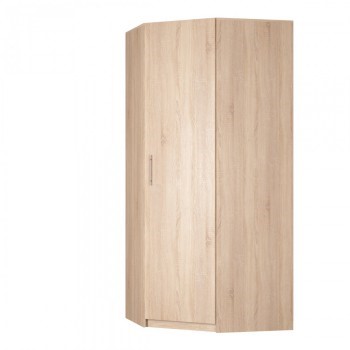 Распашной шкаф угловой Реал (YR-230х1034 (3) Вар.5), без зеркала в Когалыме - изображение