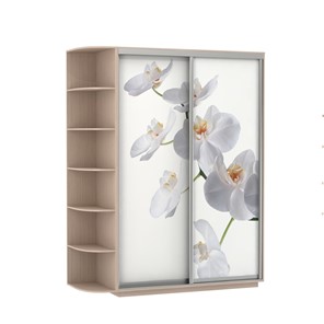 Шкаф двухдверный Экспресс 1900x600x2200, со стеллажом, Орхидея белая/дуб молочный в Ханты-Мансийске