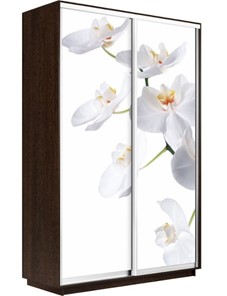 Шкаф 2-дверный Экспресс 1400x600x2400, Орхидея белая/венге в Советском