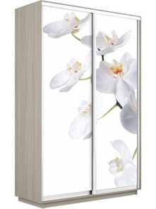 Шкаф 2-х дверный Экспресс 1600x450x2200, Орхидея белая/шимо светлый в Нягани
