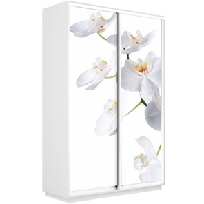 Шкаф 2-створчатый Экспресс 1600x450x2400, Орхидея белая/белый снег в Сургуте