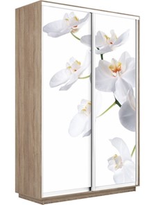 Шкаф 2-дверный Экспресс 1600x450x2400, Орхидея белая/дуб сонома в Нягани