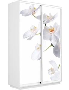 Шкаф 2-х створчатый Экспресс 1600x600x2200, Орхидея белая/белый снег в Урае