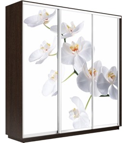 Шкаф 3-х створчатый Экспресс 1800х450х2400, Орхидея белая/венге в Лангепасе