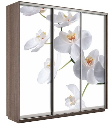 Шкаф 3-створчатый Экспресс 1800х600х2200, Орхидея бела/шимо темный в Советском - изображение
