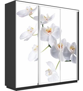 Шкаф трехдверный Экспресс 1800х600х2200, Орхидея белая/серый диамант в Урае