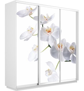 Шкаф 3-дверный Экспресс 2100х450х2400, Орхидея белая/белый снег в Советском