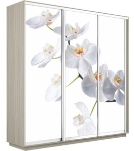 Шкаф 3-х створчатый Экспресс 2100х600х2200, Орхидея белая/шимо светлый в Югорске