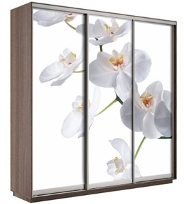 Шкаф 3-х створчатый Экспресс 2400х600х2200, Орхидея белая/шимо темный в Нягани