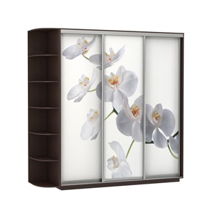 Шкаф 3-створчатый Экспресс со стеллажом, 2700х600х2400, Орхидея белая/венге в Нижневартовске