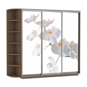 Шкаф 3-дверный Экспресс со стеллажом, 2400х600х2200, Орхидея белая/шимо темный в Ханты-Мансийске