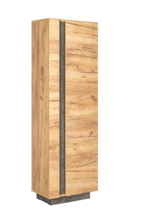 Шкаф одностворчатый Арчи 10.05 в Нижневартовске - изображение