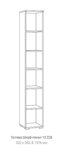 Шкаф одностворчатый Октава 13.228, Белый в Лангепасе - изображение 1