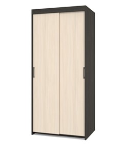Шкаф 2-х дверный Томас Т21, Дуб млечный/Венге в Нижневартовске