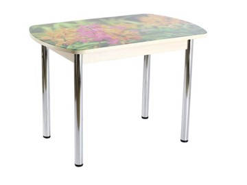 Кухонный стол раскладной ПГ-02 СТФ, дуб молочный ЛДСП/луговые цветы/39 прямые трубы хром в Урае
