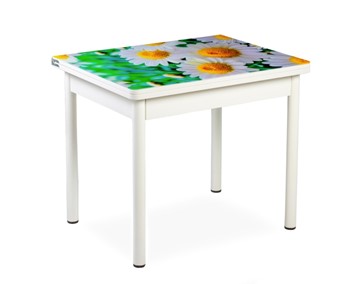 Кухонный пристенный стол СПА-01 СТФ, белый/фотопечать ромашки/опоры прямые белые в Когалыме