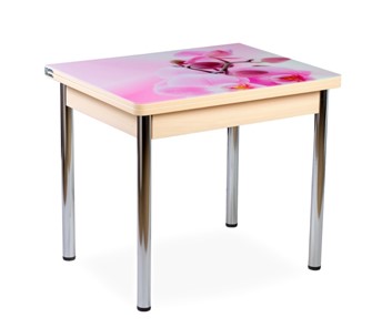 Кухонный пристенный стол СПА-01 СТФ, молочный дуб/фотопечать орхидея/опоры прямые хром в Урае