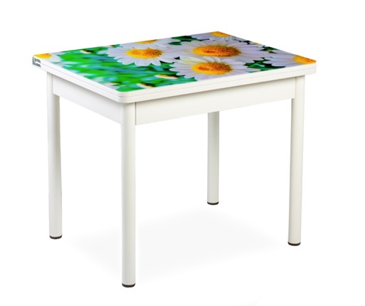 Кухонный пристенный стол СПА-02 СТФ, белый/фотопечать ромашки/опоры белый в Лангепасе - изображение