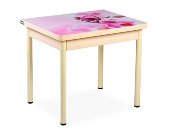 Кухонный пристенный стол СПА-02 СТФ, молочный дуб/фотопечать орхидея/опоры бежевый в Когалыме