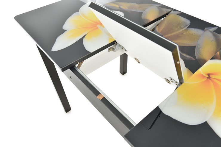 Кухонный раскладной стол Гамбург исп.1 ноги метал. крашеные №23, Фотопечать (Цветы №11) в Урае - изображение 5