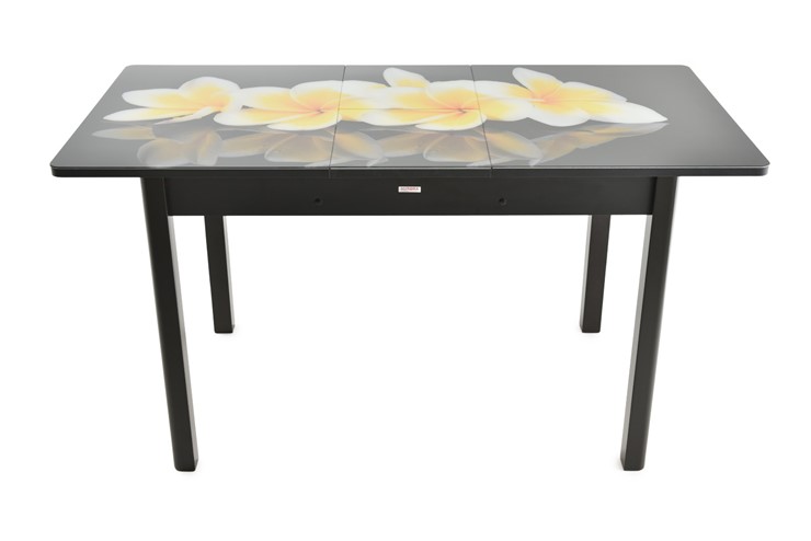Кухонный раскладной стол Гамбург исп.1 ноги метал. крашеные №23, Фотопечать (Цветы №11) в Урае - изображение 7