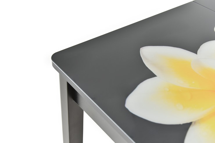Кухонный раскладной стол Гамбург исп.1 ноги метал. крашеные №23, Фотопечать (Цветы №11) в Урае - изображение 8