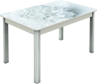 Кухонный стол раздвижной Гамбург исп.2 ноги метал. крашеные №23, Фотопечать (Цветы №27) в Нижневартовске