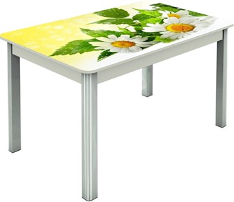 Кухонный раздвижной стол Гамбург исп.2 ноги метал. крашеные №23, Фотопечать (Цветы №3) в Нижневартовске