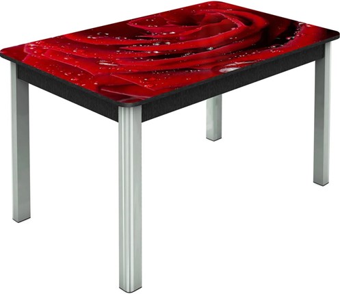 Кухонный стол раскладной Гамбург исп.2 ноги метал. крашеные №23, Фотопечать (Цветы №39) в Лангепасе - изображение