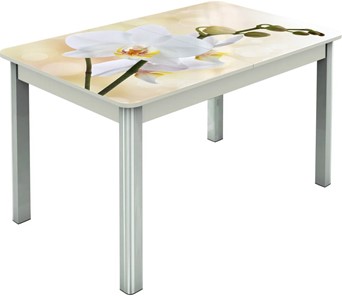 Кухонный стол раскладной Гамбург исп.2 ноги метал. крашеные №23, Фотопечать (Цветы №5) в Нягани