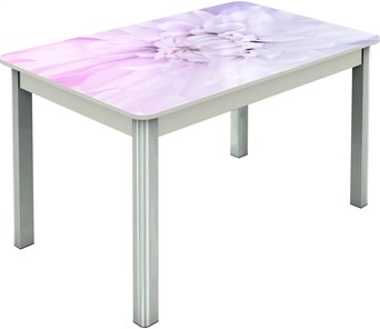Обеденный раздвижной стол Гамбург исп.2 ноги метал. крашеные №23, Фотопечать (Цветы №54) в Нягани