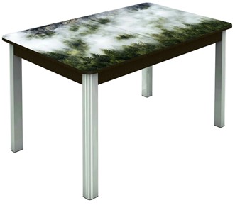 Кухонный стол раскладной Гамбург Мини, ноги метал. крашеные №23 (Exclusive h010/венге) в Лангепасе