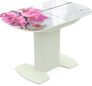 Кухонный раздвижной стол Корсика исп. 1 Фотопечать (Цветы №24) 1100(1415)*700 в Лангепасе