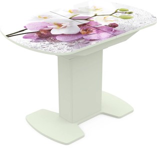 Кухонный стол раскладной Корсика исп. 1 Фотопечать (Цветы №44) 1100(1415)*700 в Нягани