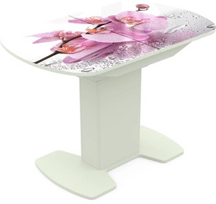 Кухонный раскладной стол Корсика исп. 1 Фотопечать (Цветы №55) 1100(1415)*700 в Лангепасе