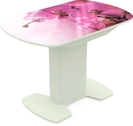Кухонный раскладной стол Корсика исп. 2 Фотопечать (Цветы №16) 1200(1515)*800 в Лангепасе - изображение