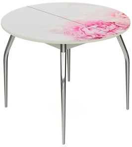 Кухонный стол раздвижной Ривьера - Круг, ноги хром №5, ФП (Цветы №49) в Урае