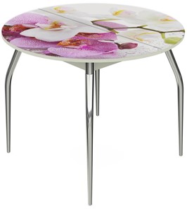 Обеденный раздвижной стол Ривьера - Круг, ноги метал. крашеные №24, ФП (Цветы №44) в Лангепасе