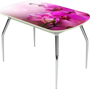 Кухонный раздвижной стол Ривьера исп.1 ноги метал. крашеные №24 Фотопечать (Цветы №16) в Урае