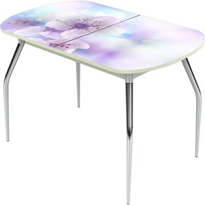 Кухонный стол раскладной Ривьера исп.1 ноги метал. крашеные №24 Фотопечать (Цветы №40) в Лангепасе