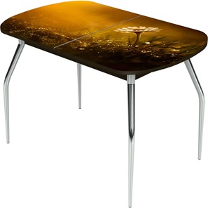 Раздвижной стол Ривьера исп.2 ноги метал. крашеные №24 Фотопечать (Цветы №43) в Лангепасе