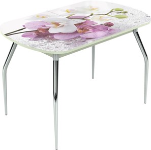 Кухонный стол раскладной Ривьера мини, метал. крашенные №24 Фотопечать (Цветы №44) в Лангепасе
