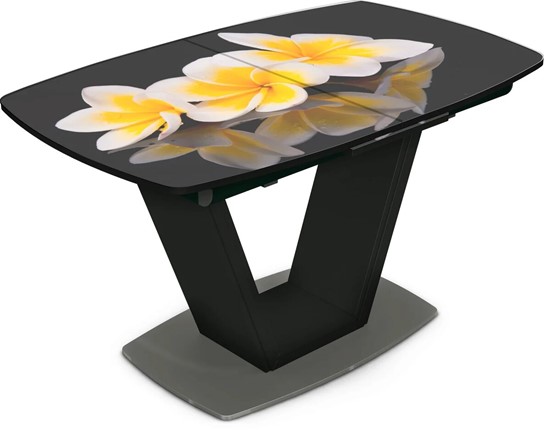 Обеденный раздвижной стол Севилья Фотопечать (Цветы №11) в Лангепасе - изображение