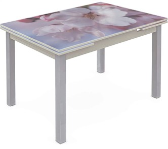 Кухонный стол раскладной Шанхай исп. 1, ноги метал. крашеные №21 Фотопечать (Цветы №15) в Лангепасе