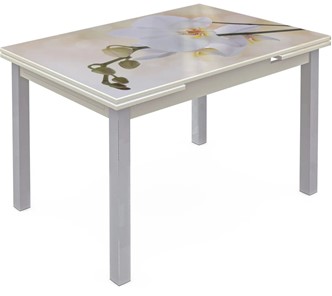 Кухонный стол раздвижной Шанхай исп. 1, ноги метал. крашеные №21 Фотопечать (Цветы №5) в Югорске