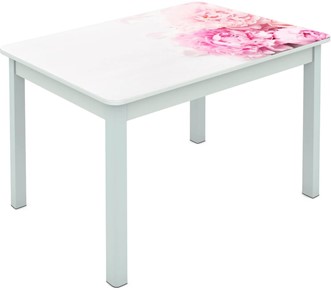 Обеденный стол Мюнхен исп. 2 ноги метал. крашеные №23 Фотопечать (Цветы №49) в Лангепасе